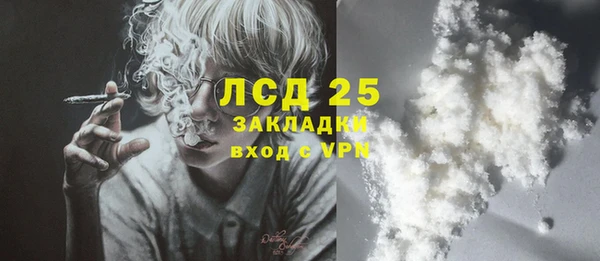 индика Баксан