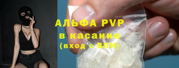 индика Баксан