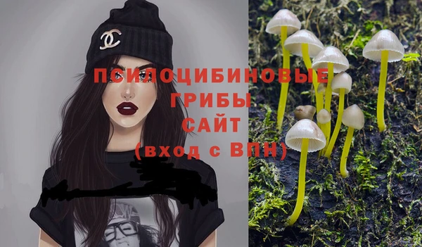 прущая мука Остров