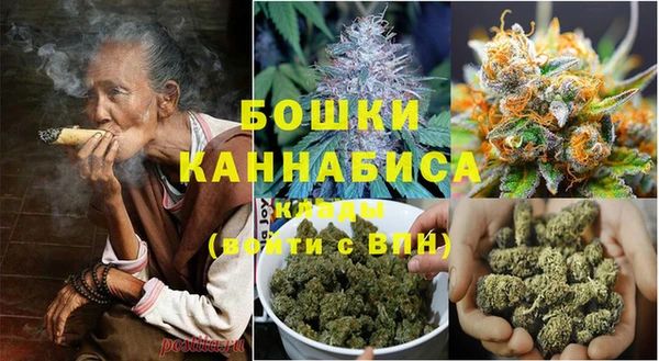 индика Баксан