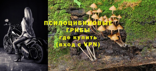 индика Баксан