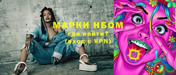 шишки Осташков