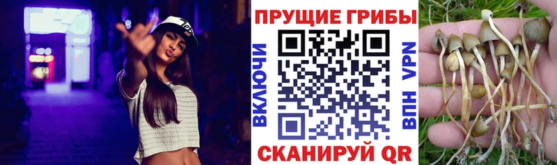 Псилоцибиновые грибы ЛСД Вичуга