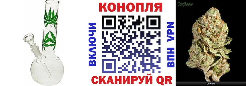 гидра ТОР  цены наркотик  Вичуга  Шишки марихуана OG Kush 